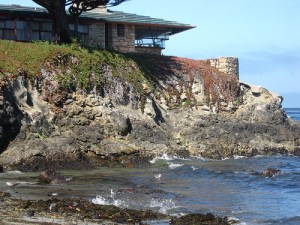 2723907894_c084ffe295