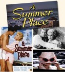 summer place poster